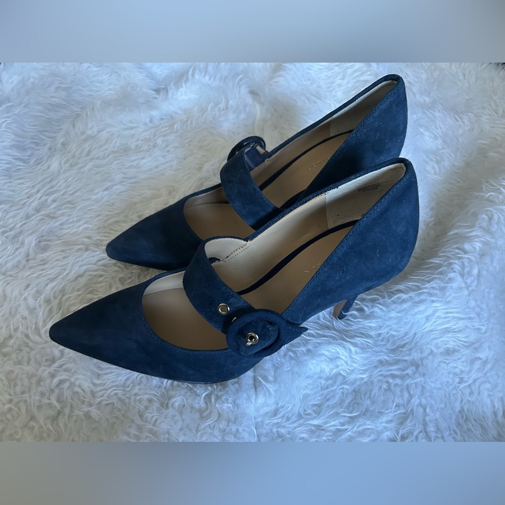 Ann Taylor Suede Maryjane Pumps